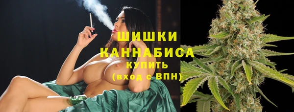 амф Арсеньев