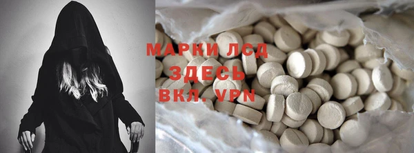 мяу мяу мука Аркадак