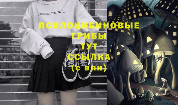 мяу мяу мука Аркадак