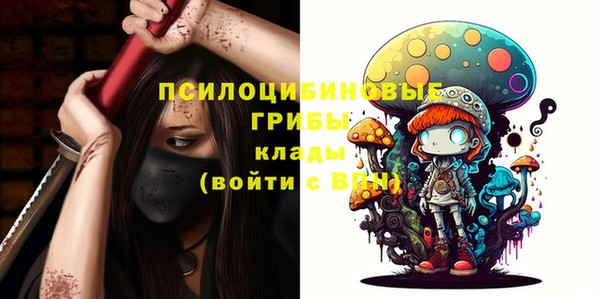 мяу мяу мука Аркадак